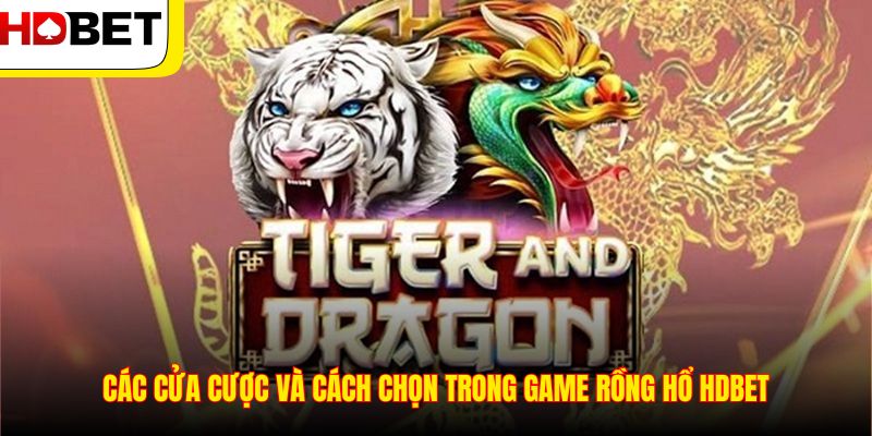 Các cửa cược và cách chọn trong game Rồng Hổ HDBET