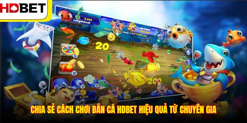 Chia sẻ cách chơi bắn cá HDBET hiệu quả từ chuyên gia
