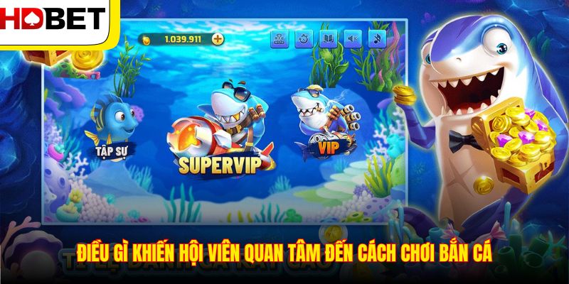 Điều gì khiến hội viên quan tâm đến cách chơi bắn cá