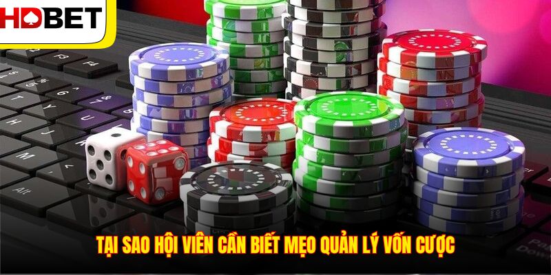 Tại sao hội viên cần biết mẹo quản lý vốn cược